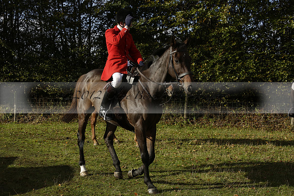 Devon & Somerset StagHounds meet at Five Cross Ways on Thursday 17 October 2013. 2013.10.17 www.polopictures.co.uk