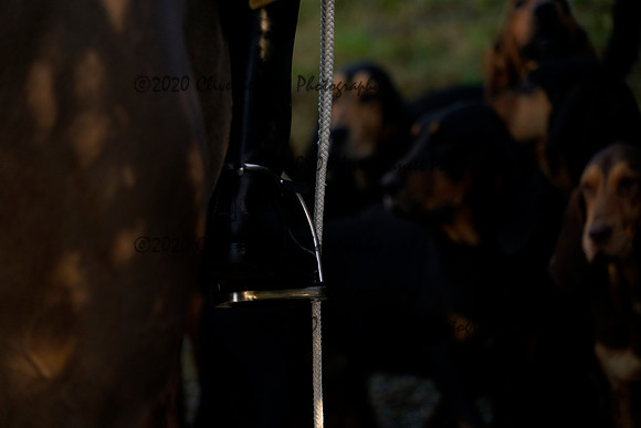 _CAB7984
