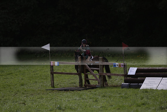 Chiddingfold, Leconfield and Cowdray Hunt, Hunter Trials at Iping on Sunday 20 October 2013. 2013.10.20 www.polopictures.co.uk
