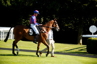 Race 5 The Sussex Regiment Stakes 2016.08.30