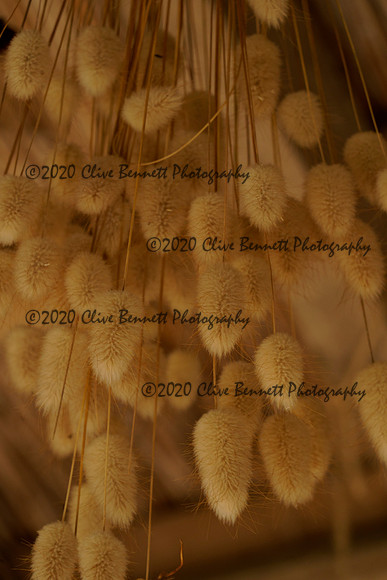 _CAB1502