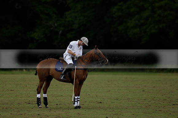 The Blue Jackets Cup polo match played between Maize Dulce (green) vs Home Farm (white) At the New Forest Polo Club on Sunday 18 August 2013