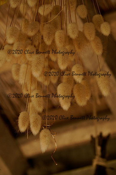 _CAB1500