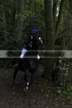 Chiddingfold, Leconfield and Cowdray Hunt, Hunter Trials at Iping on Sunday 20 October 2013. 2013.10.20 www.polopictures.co.uk