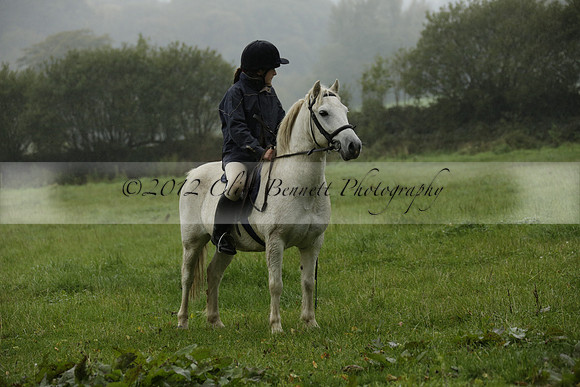 Devon & Somerset Stag Hounds meet at Liscombe on Saturday 12 October 2013 2013.10.12 www.polopictures.co.uk