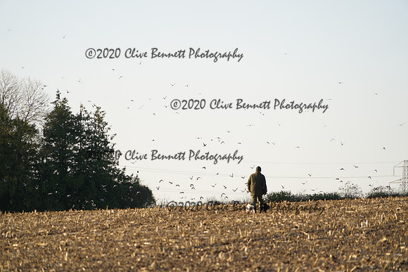 _CAB0550