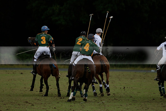 The Blue Jackets Cup polo match played between Maize Dulce (green) vs Home Farm (white) At the New Forest Polo Club on Sunday 18 August 2013
