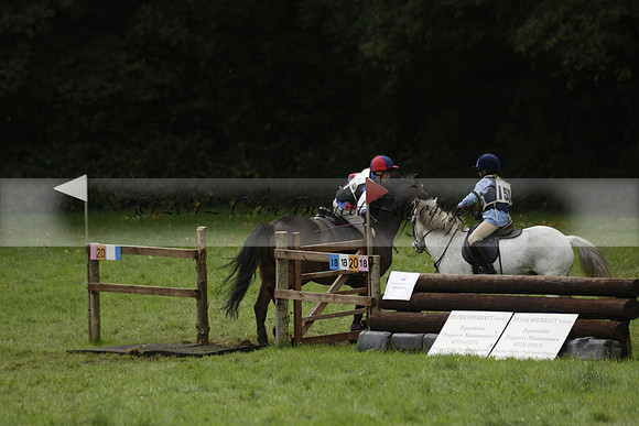 Chiddingfold, Leconfield and Cowdray Hunt, Hunter Trials at Iping on Sunday 20 October 2013. 2013.10.20 www.polopictures.co.uk