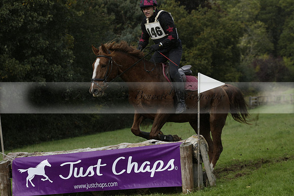 Chiddingfold, Leconfield and Cowdray Hunt, Hunter Trials at Iping on Sunday 20 October 2013. 2013.10.20 www.polopictures.co.uk