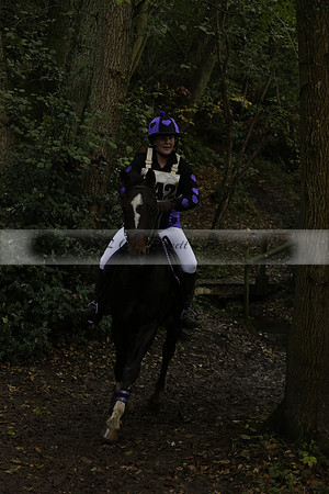Chiddingfold, Leconfield and Cowdray Hunt, Hunter Trials at Iping on Sunday 20 October 2013. 2013.10.20 www.polopictures.co.uk