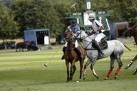 Combe Place (blue) v Silver Fox (white) in a Park House West Sussex Cup Polo match on Ambersham 1 at Cowdray Park Polo Club on Friday 30 August 2013. 2013.08.30 www.polopictures.co.uk