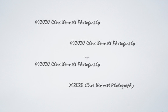 _CAB5232