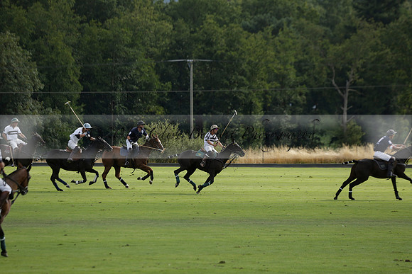 Pandas (white) v Home Farm (navy) in a Park House West Sussex Cup Polo match on Brooksfield at Cowdray Park Polo Club on Friday 30 August 2013. 2013.08.30 www.polopictures.co.uk