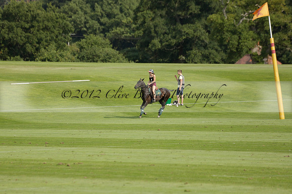 Pandas (white) v Home Farm (navy) in a Park House West Sussex Cup Polo match on Brooksfield at Cowdray Park Polo Club on Friday 30 August 2013. 2013.08.30 www.polopictures.co.uk
