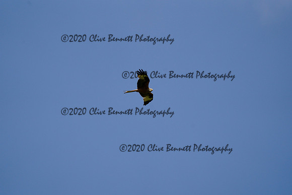 _CAB0966