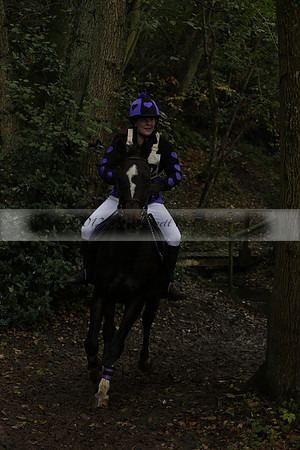 Chiddingfold, Leconfield and Cowdray Hunt, Hunter Trials at Iping on Sunday 20 October 2013. 2013.10.20 www.polopictures.co.uk