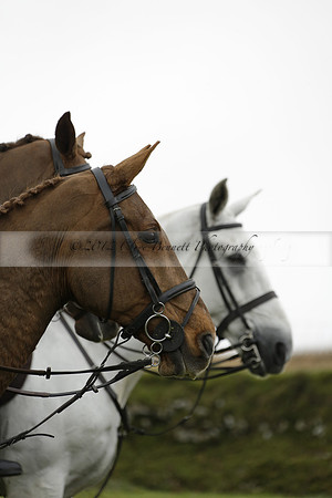 Devon & Somerset Staghounds meet at Larkbarrow Corner. North Devon. 2013.10.18 www.polopictures.co.uk