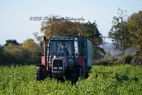 _CAB0608