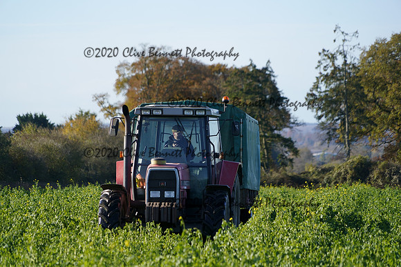 _CAB0609