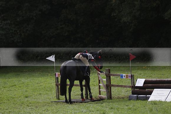 Chiddingfold, Leconfield and Cowdray Hunt, Hunter Trials at Iping on Sunday 20 October 2013. 2013.10.20 www.polopictures.co.uk