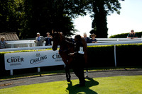Race 2 The Levin Down Maiden Stakes 2016.08.30