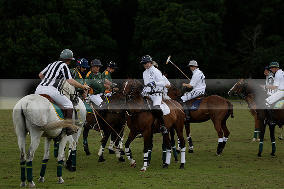 The Blue Jackets Cup polo match played between Maize Dulce (green) vs Home Farm (white) At the New Forest Polo Club on Sunday 18 August 2013