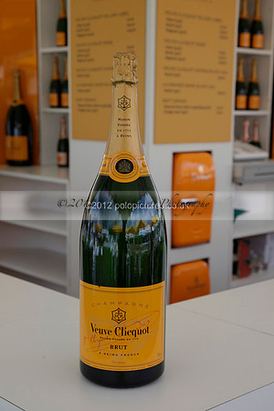 at the Veuve Clicquot Gold Cup Final Cowdray Park Polo Club on Sunday July 2012