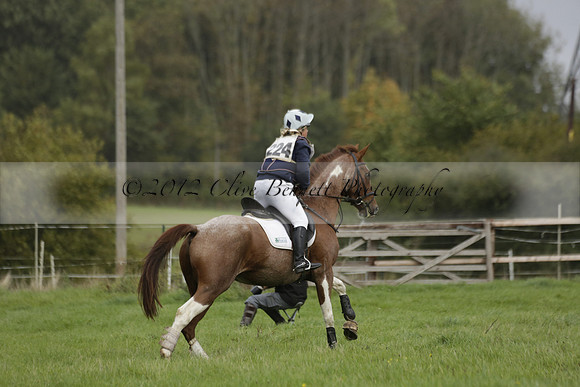 Chiddingfold, Leconfield and Cowdray Hunt, Hunter Trials at Iping on Sunday 20 October 2013. 2013.10.20 www.polopictures.co.uk
