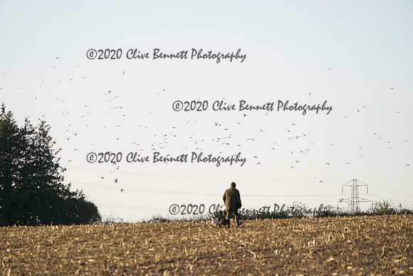 _CAB0553