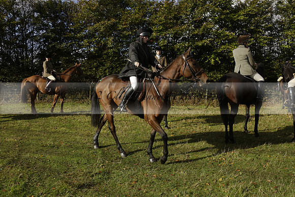 Devon & Somerset StagHounds meet at Five Cross Ways on Thursday 17 October 2013. 2013.10.17 www.polopictures.co.uk