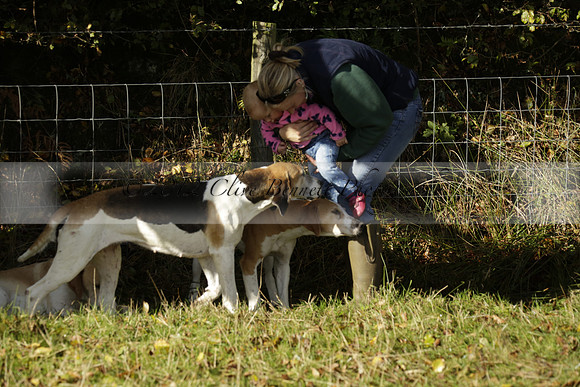 Devon & Somerset StagHounds meet at Five Cross Ways on Thursday 17 October 2013. 2013.10.17 www.polopictures.co.uk