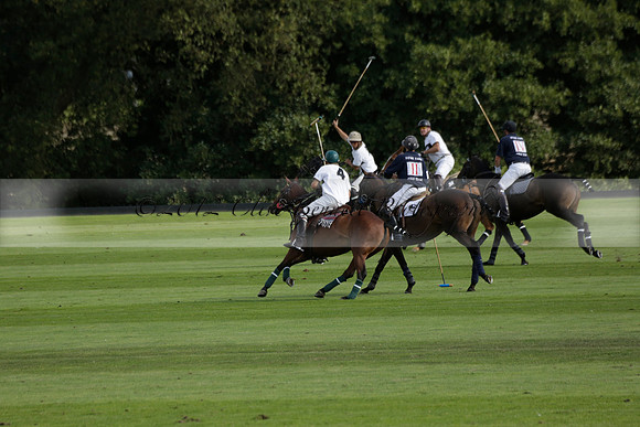 Pandas (white) v Home Farm (navy) in a Park House West Sussex Cup Polo match on Brooksfield at Cowdray Park Polo Club on Friday 30 August 2013. 2013.08.30 www.polopictures.co.uk