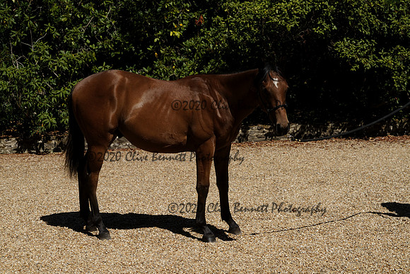 _CAB0436