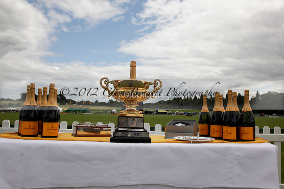 at the Veuve Clicquot Gold Cup Final Cowdray Park Polo Club on Sunday July 2012