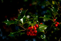 _CAB9290
