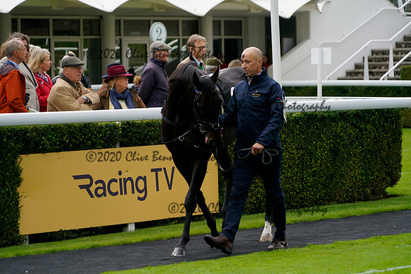 _CAB2504