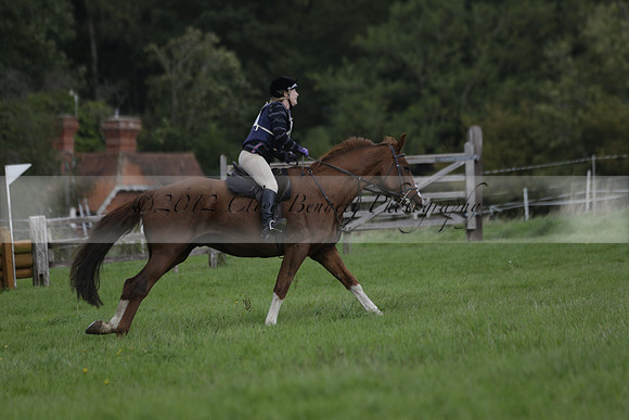 Chiddingfold, Leconfield and Cowdray Hunt, Hunter Trials at Iping on Sunday 20 October 2013. 2013.10.20 www.polopictures.co.uk
