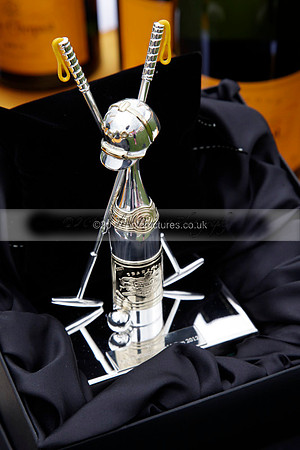at the Veuve Clicquot Gold Cup Final Cowdray Park Polo Club on Sunday July 2012