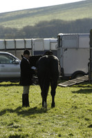 Devon & Somerset StagHounds meet at Horsen Drive on Tuesday 15 October 2013. 2013.10.15 www.polopictures.co.uk