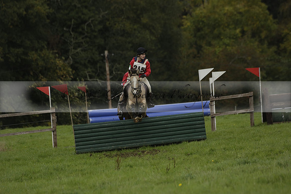 Chiddingfold, Leconfield and Cowdray Hunt, Hunter Trials at Iping on Sunday 20 October 2013. 2013.10.20 www.polopictures.co.uk