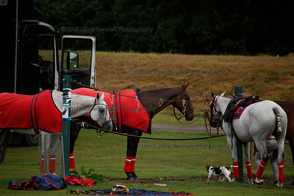 _CB_6552