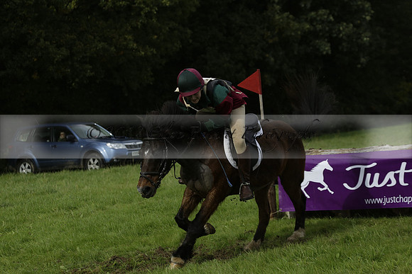 Chiddingfold, Leconfield and Cowdray Hunt, Hunter Trials at Iping on Sunday 20 October 2013. 2013.10.20 www.polopictures.co.uk