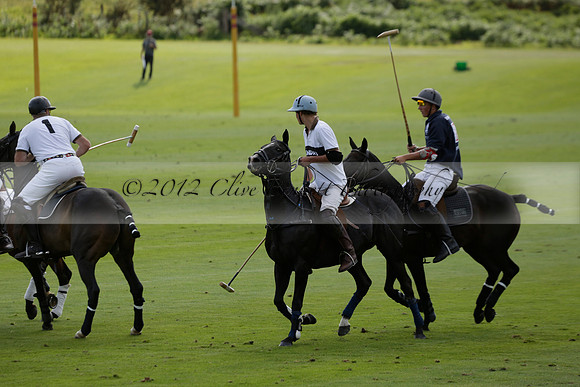 Pandas (white) v Home Farm (navy) in a Park House West Sussex Cup Polo match on Brooksfield at Cowdray Park Polo Club on Friday 30 August 2013. 2013.08.30 www.polopictures.co.uk