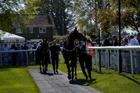 Race 2 The Betgoodwin Online Bookies Handicap Steeple Chase 2025.04.11