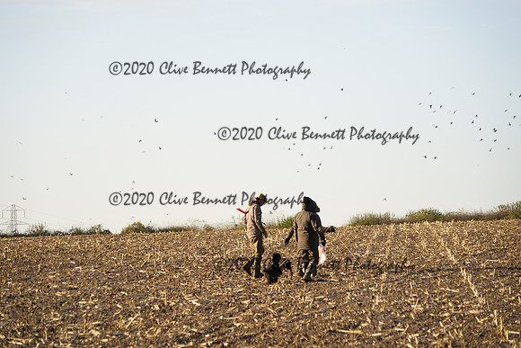 _CAB0548