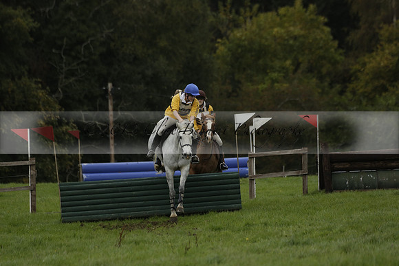 Chiddingfold, Leconfield and Cowdray Hunt, Hunter Trials at Iping on Sunday 20 October 2013. 2013.10.20 www.polopictures.co.uk