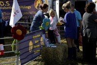 The Alresford Agricultural Show Tichbourne on Saturday 2013.09.07 www.polopictures.co.uk