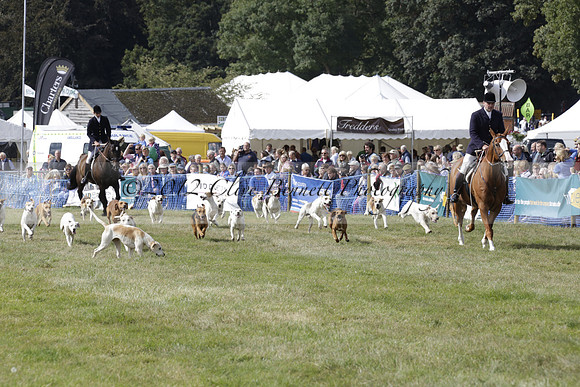 The Alresford Agricultural Show Tichbourne on Saturday 2013.09.07 www.polopictures.co.uk