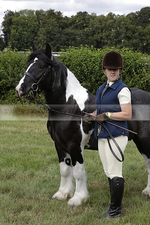 The Alresford Agricultural Show Tichbourne on Saturday 2013.09.07 www.polopictures.co.uk