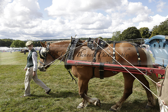 The Alresford Agricultural Show Tichbourne on Saturday 2013.09.07 www.polopictures.co.uk